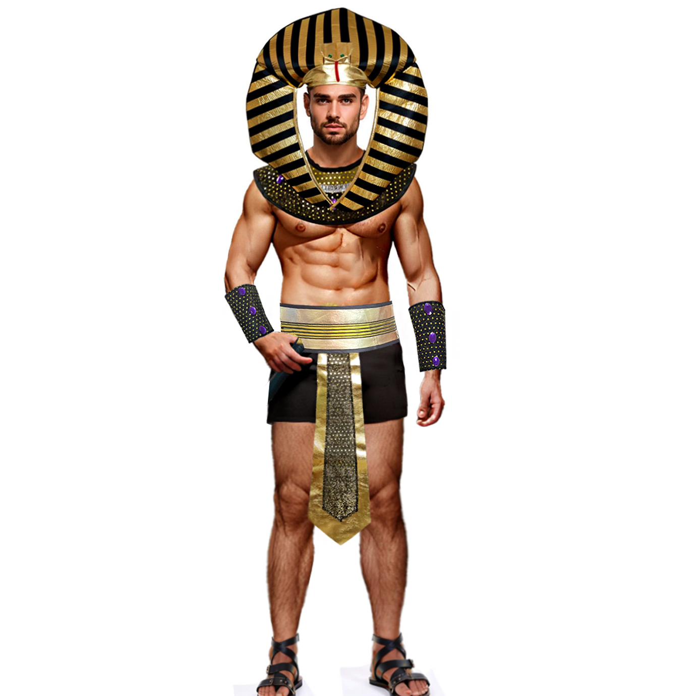 Карнавальный мужской костюм ег – обзор и цена Men Accessories Egypt